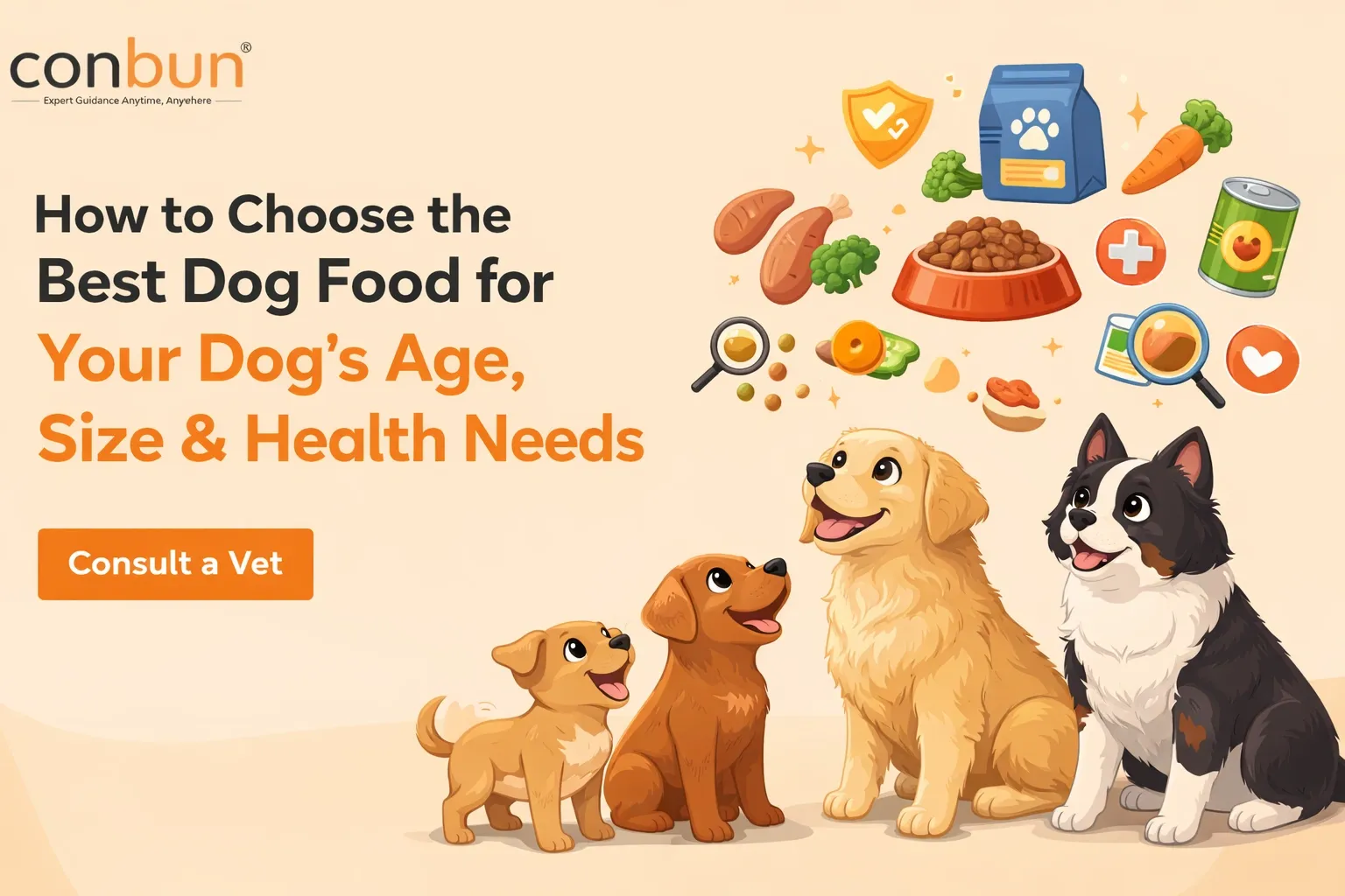 How to Choose the Best Dog Food for Your Dog's Age, Size & Health Needs (2026 Guide)